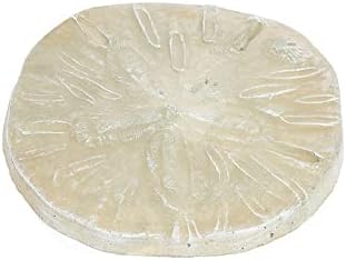 Sand Dollar Stepping Stone- 17in Dia- Desert Sand