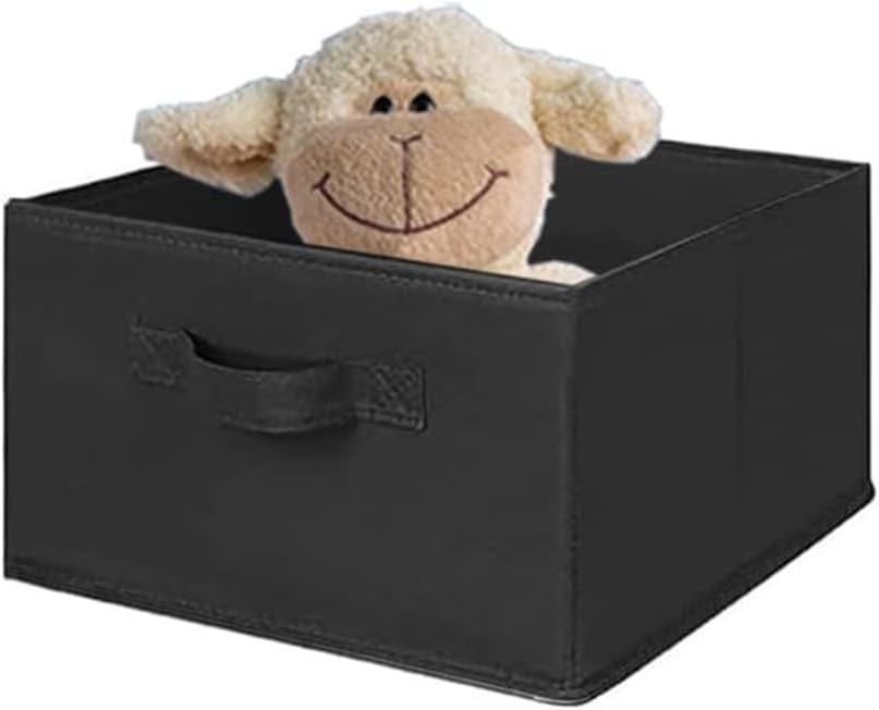 MAX Houser Hanging Shelf Closet Storage Organizer Removable Drawers ,Hanging Storage Organizer Hanging Sweater 2 Sock Underwear Drawers for Closet, Bedroom, Black