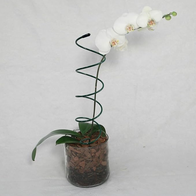 4Pack Spiral Tomato Stakes Plant Trellis ,Indoor Metal Wire Garden Trellis ,Small Climbing Leaf Shape Trellis for Garden Potted Plant