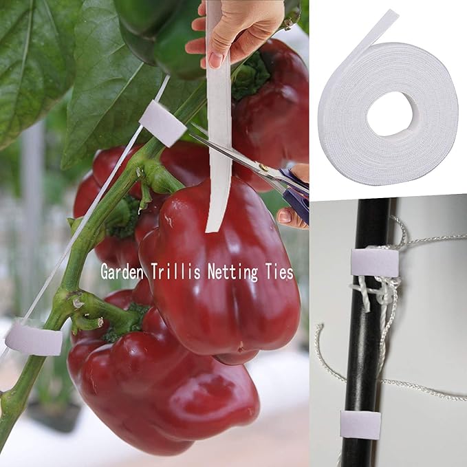 All-Weather Trellis Netting Mesh Plant Garden Vine Growing Flexible String Net (6" Mesh ployester, 5' Wx 30'L)