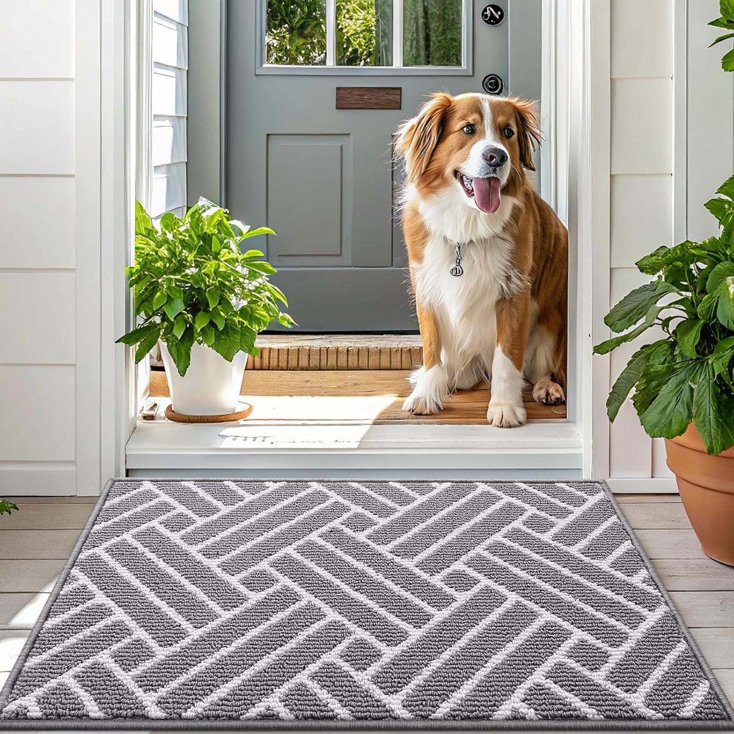 OLANLY Large Indoor Door Mat, 59x35 Inch, Dirt Resistant and Absorbent, Non-Slip Rubber Backing Floor Mats, Easy Clean Low-Profile Doormat for Entryway, Front Door, and Inside Entrance, Grey