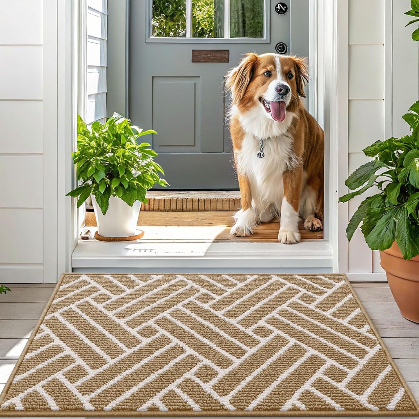 OLANLY Indoor Door Mat, 48x32 Inch, Dirt Resistant and Absorbent, Non-Slip Rubber Backing Floor Mats, Easy Clean Low-Profile Doormat for Entryway, Front Door, and Inside Entrance, Beige