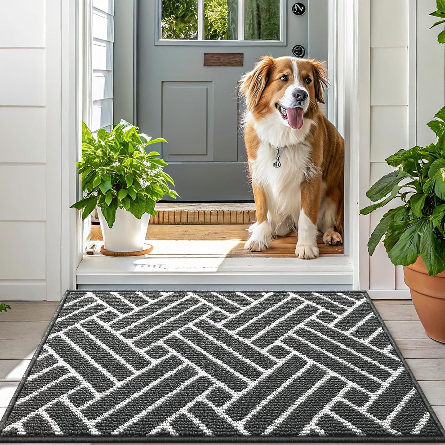 OLANLY Large Indoor Door Mat, 59x35 Inch, Dirt Resistant and Absorbent, Non-Slip Rubber Backing Floor Mats, Easy Clean Low-Profile Doormat for Entryway, Front Door, and Inside Entrance, Charcoal