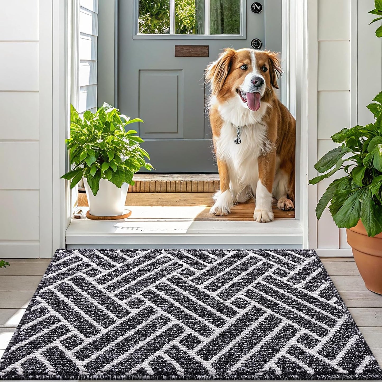 OLANLY Indoor Door Mat, 32x20 Inch, Dirt Resistant and Absorbent, Non-Slip Rubber Backing Floor Mats, Easy Clean Low-Profile Doormat for Entryway, Front Door, and Inside Entrance, Black
