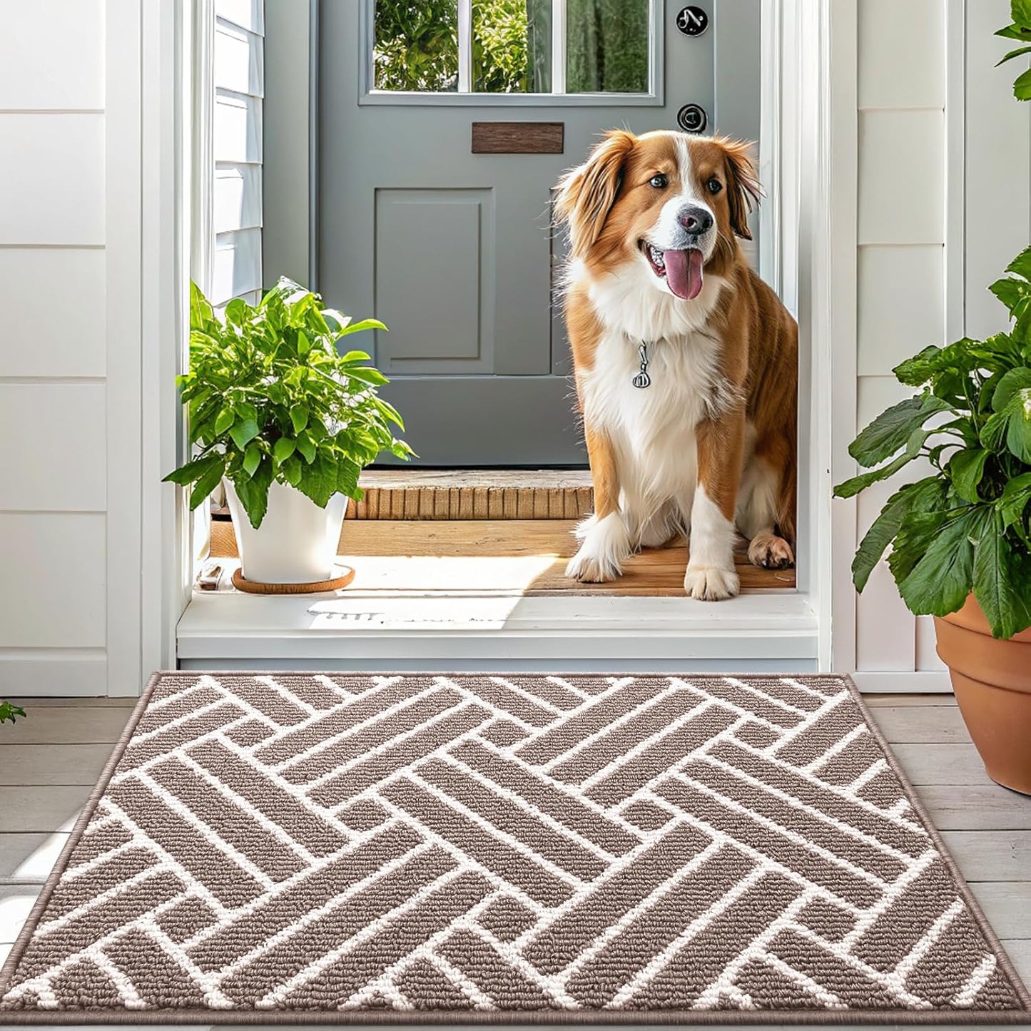 OLANLY Runner Indoor Door Mat, 47x23 Inch, Dirt Resistant and Absorbent, Non-Slip Rubber Backing Floor Mats, Easy Clean Low-Profile Doormat for Entryway, Front Door, and Inside Entrance, Brown