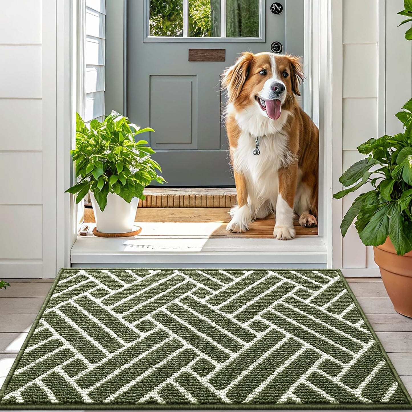 OLANLY Indoor Door Mat, 32x20 Inch, Dirt Resistant and Absorbent, Non-Slip Rubber Backing Floor Mats, Easy Clean Low-Profile Doormat for Entryway, Front Door, and Inside Entrance, Green