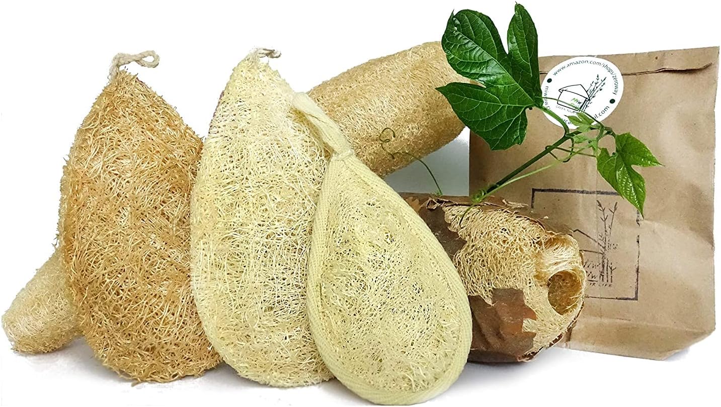 Natural Loofah Dish Sponge (Pack 10) - Vegetable Scrubber for Kitchen - 100% Biodegradable Compostable Dishwashing Scouring Pad, Zero Waste Plastic Free Eco Friendly Sustainable