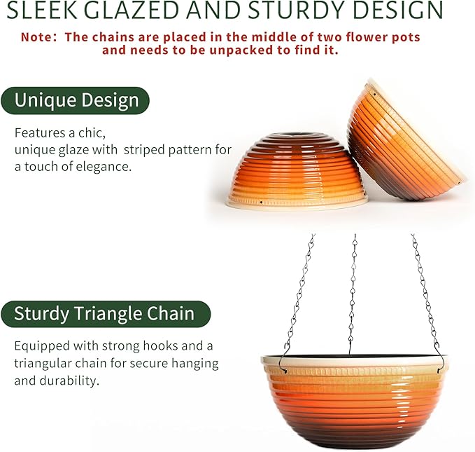 10 Inch Hanging Planter, 2 Pack Hanging Planters for Indoor Outdoor Plants Self Watering Hanging Pots with Drainage Holes for Garden Home