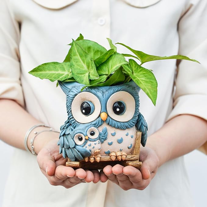 Unique Owl Plant Pots Indoor, Cute Small Succulent Pots with Drainage Hole, Rocking Chair Planters for Outdoor Indoor Plants, Resin Flower Pot for String of Pearls, Gift Ideas for Mother