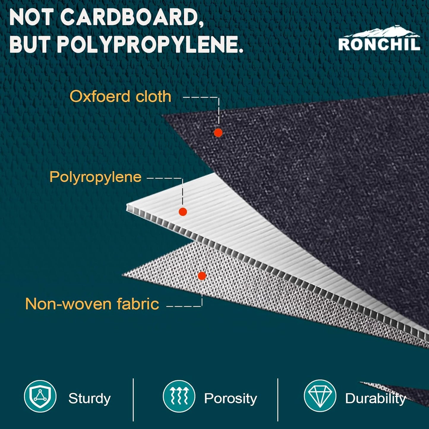 Shoe Organizer for Closet, Foldable Shoe Storage Bins with Clear Cover, Space Saving Shoes Holder with 4 Handles, Large Adjustable Shoe Box Storage Containers, Fits 8-16 Pairs, 1 Pack, Black