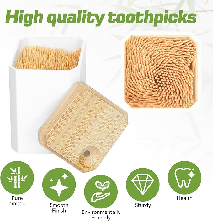 HOPELF Toothpick Holders 2 Pack with 4800 Picks,Round Toothpicks Double-Side Point for Teeth,Food Pick,Appetizers,Cocktails Fruits,Olive&DIY Craft.