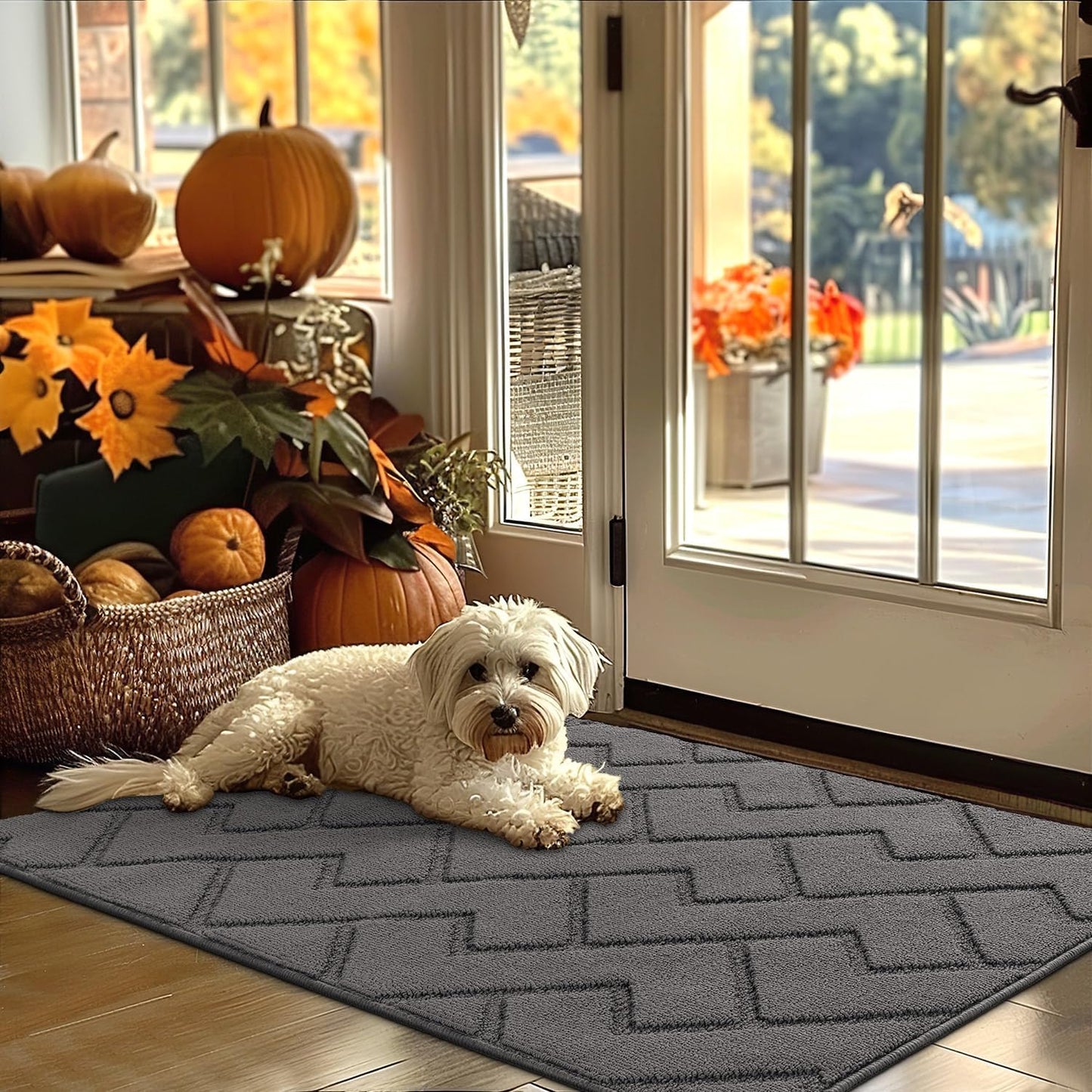 hicorfe Indoor Door Mat,Non Slip Door Mats,32"x48" Front Back Door Mat Rubber Backing,Absorbent Resist Dirt Entrance Inside Floor Mats for Entryway Washable Low-Profile(Grey)