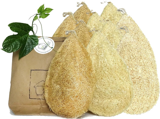 Natural Loofah Dish Sponge (Pack 10) - Vegetable Scrubber for Kitchen - 100% Biodegradable Compostable Dishwashing Scouring Pad, Zero Waste Plastic Free Eco Friendly Sustainable