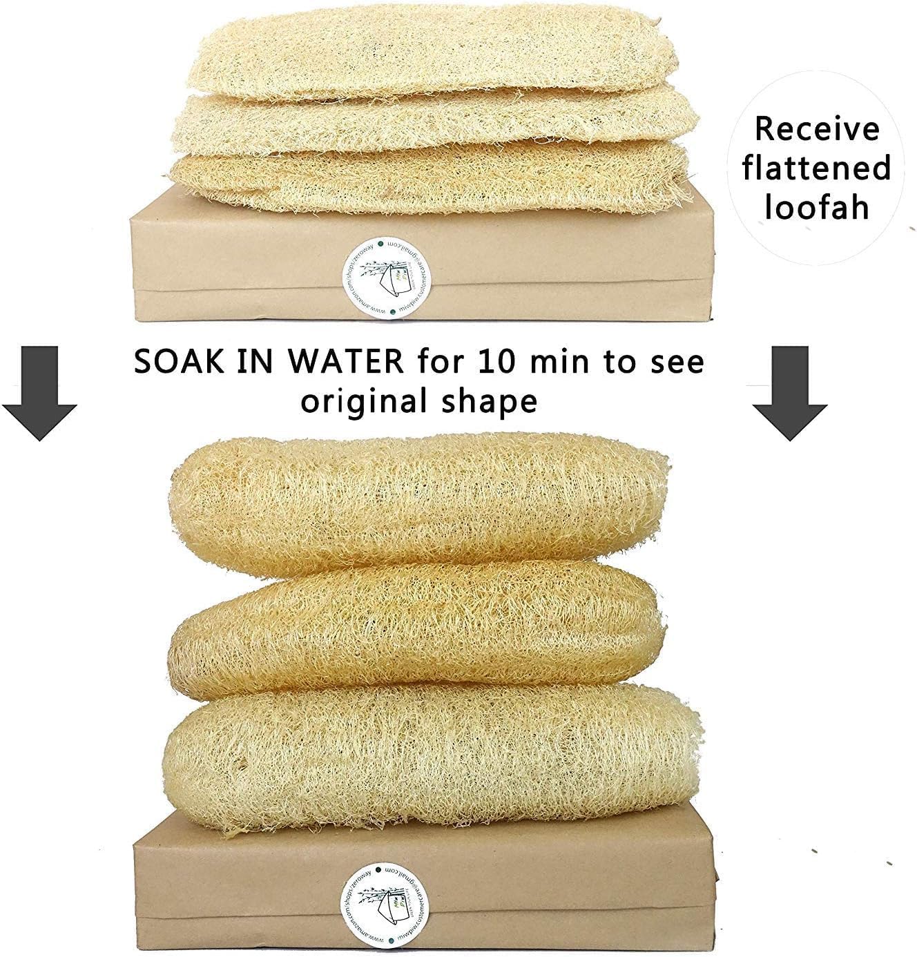 Natural Whole Loofah Dish Sponge (Pack 3) - Multipurpose Dish Sponges - 100% Biodegradable Compostable, Dishwashing Scouring Pad, Zero Waste