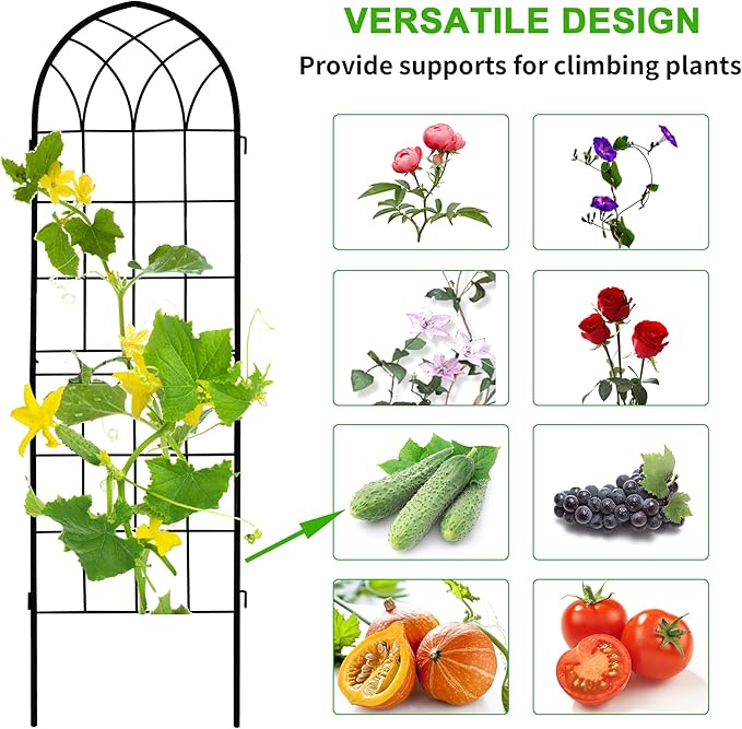 LZRS 2 Pack 71x20in Rustic Iron Arch Decoration Garden Trellis with Black Metal Coating – Perfect for Supporting Climbing Plants Outdoor, Roses, Vines, Flowers, and Vegetables.