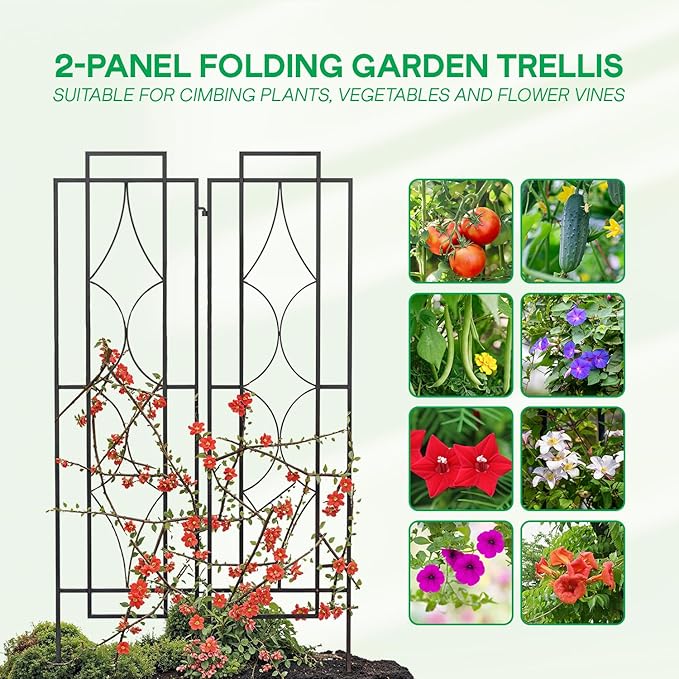IDZO 2-Piece Diamonds Design Decoration Trellis, Metal Decorative Trellis for Climbing Plants Outdoor, Garden Trellis for Climbing Plants, Climbing Rose Trellis, 48-Inch Tall Each, Black