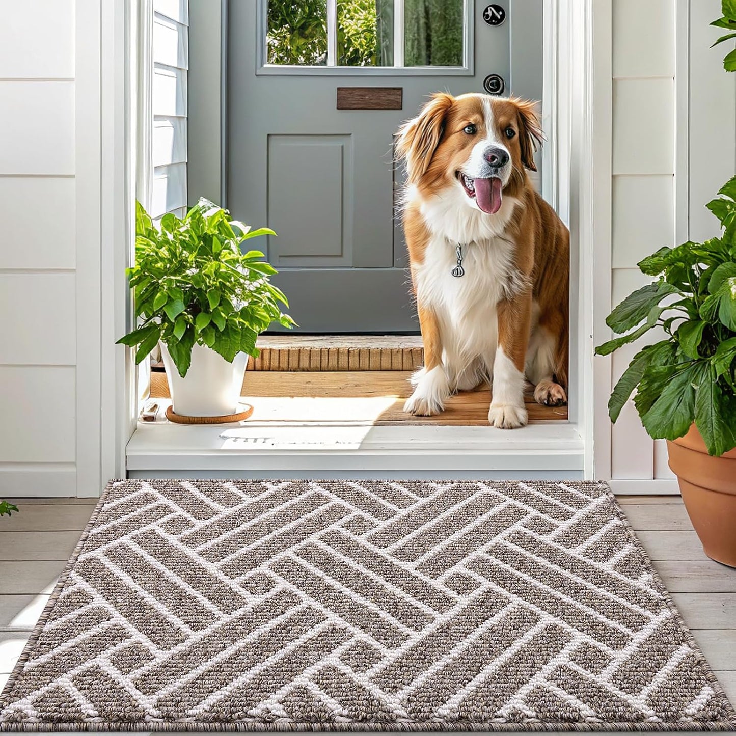 OLANLY Large Indoor Door Mat, 59x35 Inch, Dirt Resistant and Absorbent, Non-Slip Rubber Backing Floor Mats, Easy Clean Low-Profile Doormat for Entryway, Front Door, and Inside Entrance, Khaki