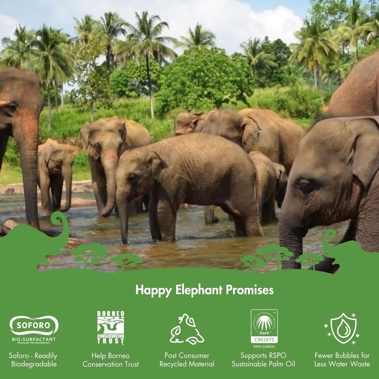 Happy Elephant Fabric Softener, White Tea & Fig Scent, Natural Biodegradable Liquid Fabric Softener, Plant Based, Softens Clothes & Reduces Static, Gentle on Skin, HE Compatible, 64 Fl Oz, 1 Pack