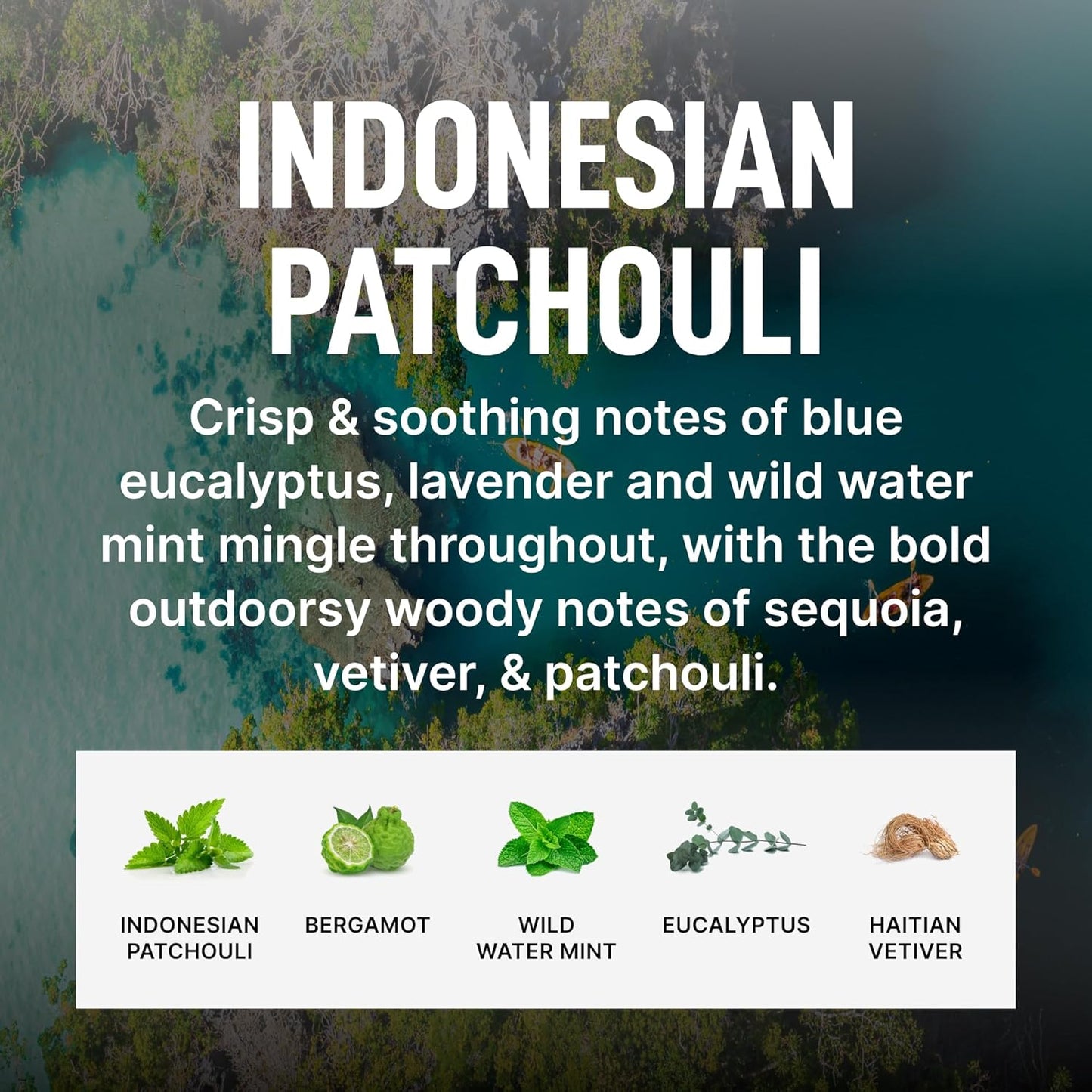 Laundry Sauce - Laundry Fabric Softener (Indonesian Patchouli) Luxury Fragrance, Softens & Preserves Fabric, Reduces Wrinkles, 19 Fl Oz