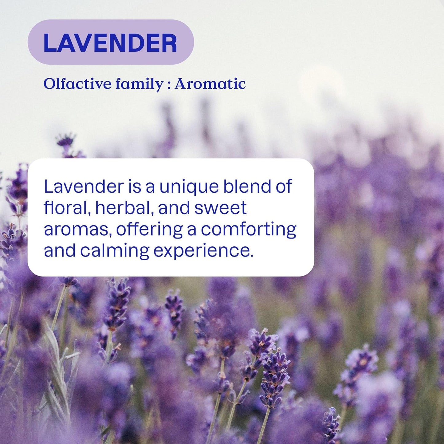 ATTITUDE Liquid Laundry Detergent Refill, EWG Verified, HE Compatible, Plant-Based & Vegan, Natural Laundry Soap, Lavender Scent, 160 Loads, 135.26 Fl Oz