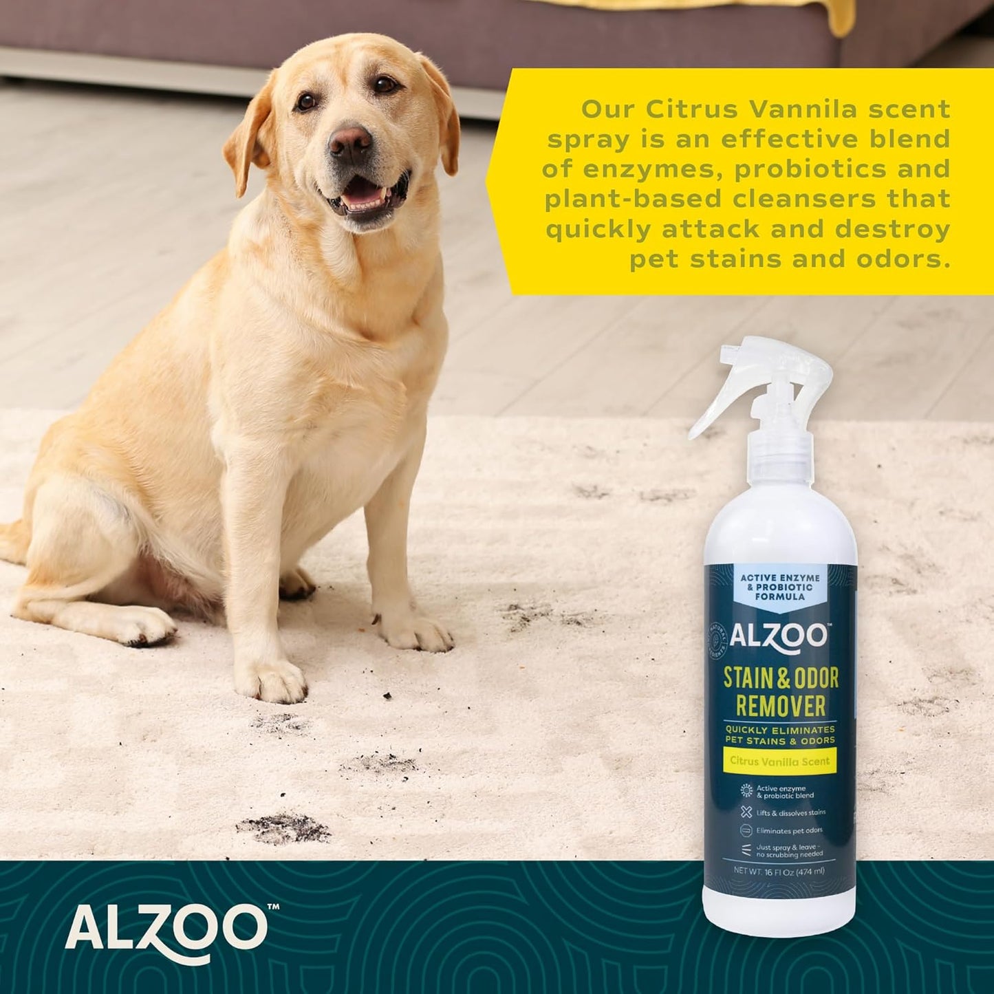 ALZOO Stain & Odor Remover, Quickly Lifts & Dissolves Pet Stains & Helps Eliminate Odors, 100% Plant-Based Active Ingredients, Citrus Vanilla Scent, 16 Fl. Oz Spray Bottle