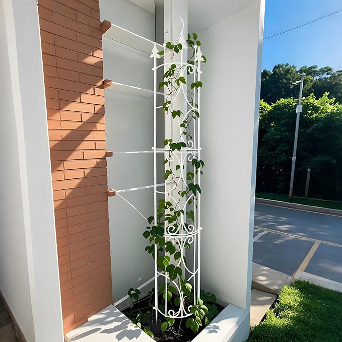 Garden Trellis 2 Pack 72'' H x 12'' W Metal Plant Trellis Indoor/Outdoor Metal Garden Trellis Plant Trellis for Potted Plants Climbing Houseplants Flowers