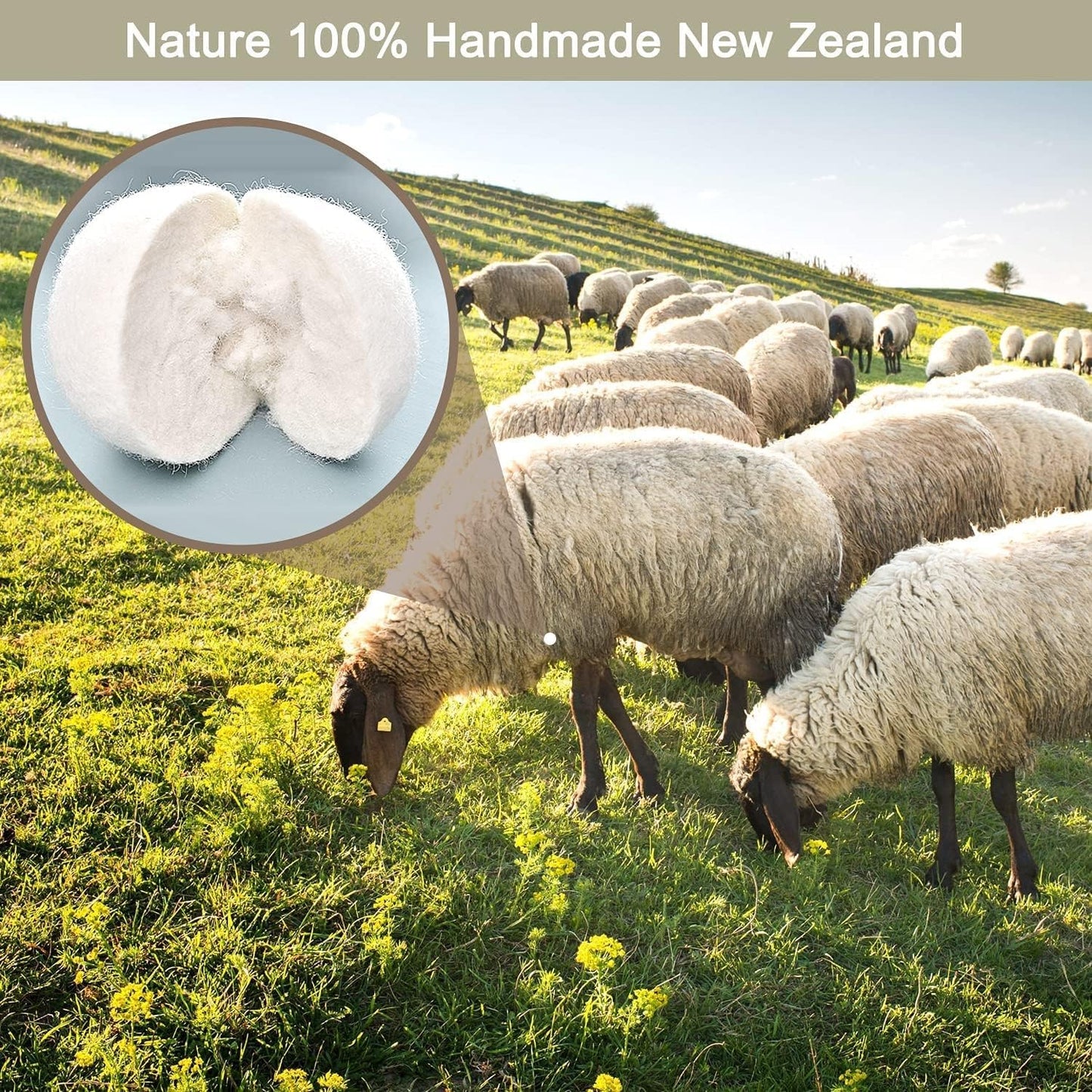 Organic Wool Dryer Balls: Eco-Friendly & Chemical-Free | Our Anti-Entanglement Reusable Balls Eliminate Wrinkle Static | 6-Pack XL Dryer Balls for Laundry is Made with New Zealand Wool (MER-White)