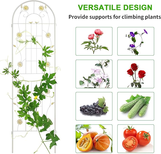 LZRS 4 Pack 71x20in Rustic Iron Arch Decoration Garden Trellis with Black Metal Coating – Perfect for Supporting Climbing Plants Outdoor, Roses, Vines, Flowers, and Vegetables.