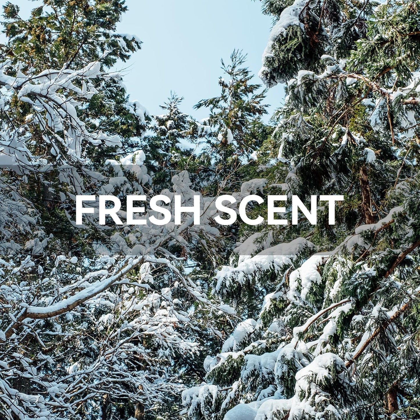 MYARO 12 Packs Cedarwood Scented Sachets for Drawer and Closet, Long-Lasting Closet Sachet Bags Drawer deodorizers Fresh Scents, Home Fragrance for Lover