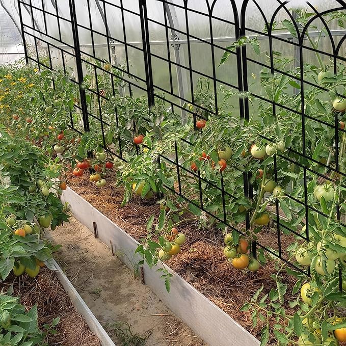 LZRS 2 Pack 71x20in Rustic Iron Arch Decoration Garden Trellis with Black Metal Coating – Perfect for Supporting Climbing Plants Outdoor, Roses, Vines, Flowers, and Vegetables.