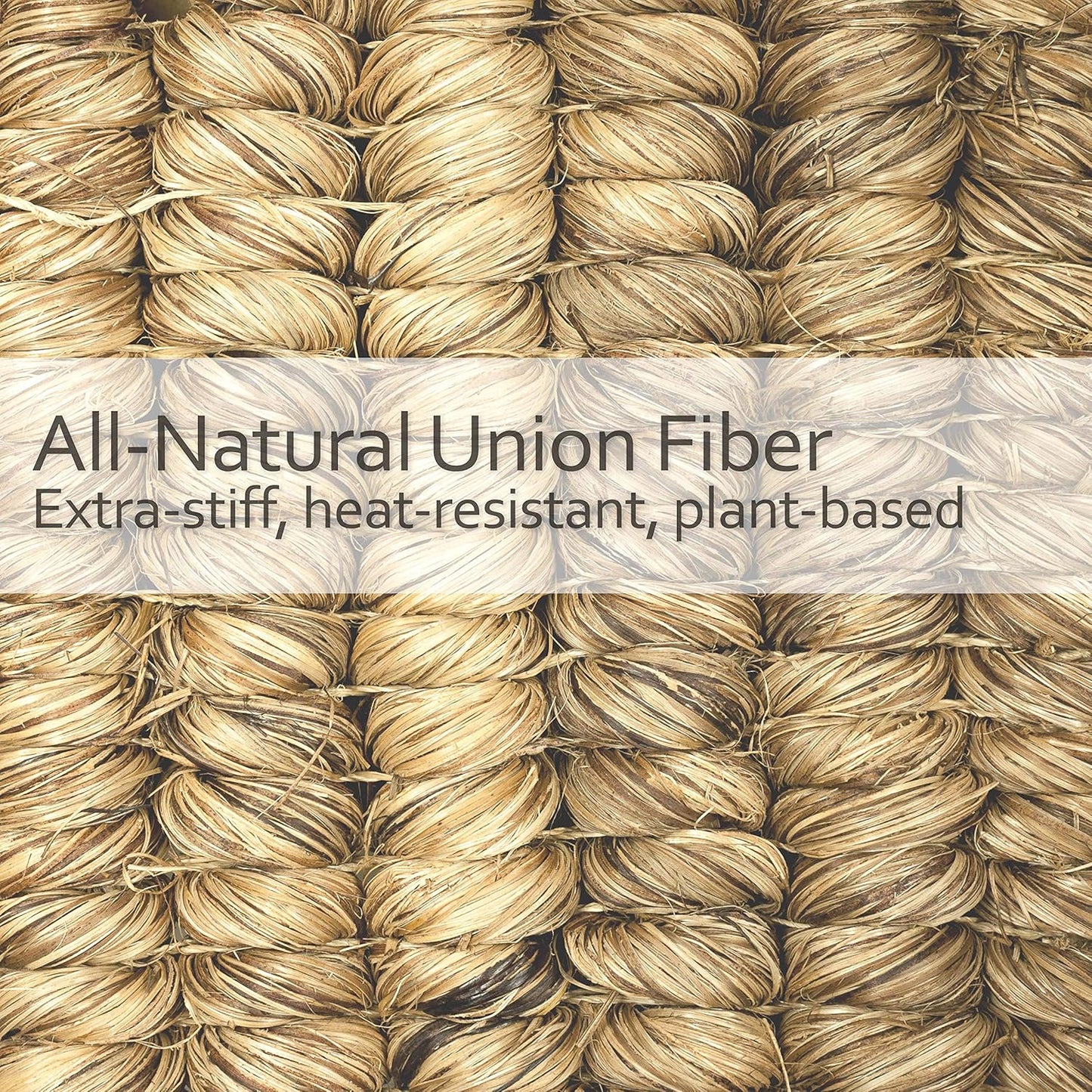 REDECKER Oyster Scrub Brush with Union Fiber Bristles and Untreated Beechwood Handle, 4-3/4-Inches